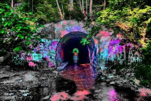 Sensabaugh Tunnel, Tennessee, USA