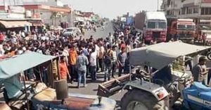 A Monkey Went On A Nine-Day Rampage, Killing One And Injuring Nine In India