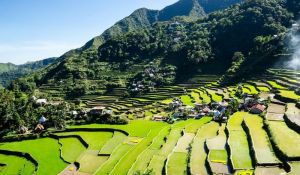 Banaue Rice Terraces