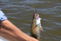 Top 5 Fishing Spots Worth Your Visit Top 5 Fishing Spots Worth Your Visit