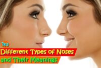 10 Different Types of Noses and Their Meanings
