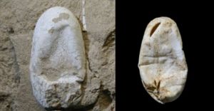 Early dinosaurs laid leathery, soft-shelled eggs