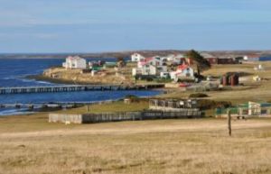 Falkland Island