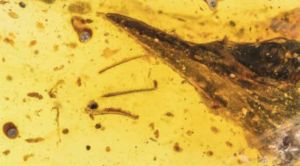 Some dinosaurs were unbelievably small