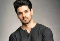 Sooraj Pancholi Filmography, Roles, Verdict (Hit / Flop), Box Office Collection, And Others