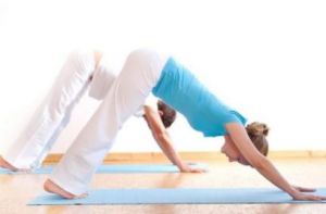 Sun Salutation