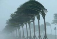 Top 10 Times Hurricanes Left Strange Things Behind