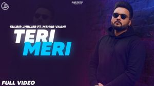 Teri Meri Lyrics