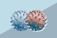 A new variant of the coronavirus has been discovered in the UK – here’s what the experts are saying about it